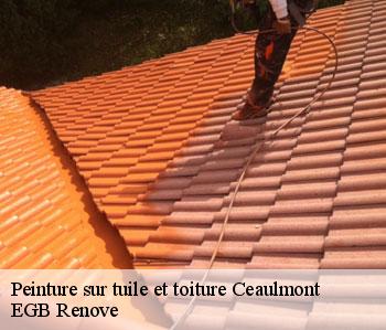 Peinture sur tuile et toiture  ceaulmont-36200 EGB Renove