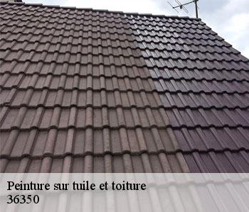 Peinture sur tuile et toiture  36350