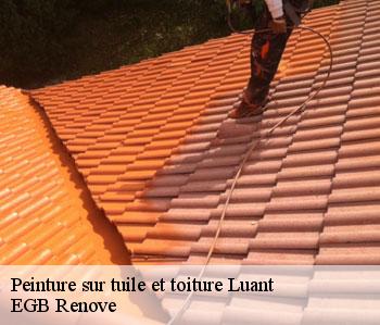 Peinture sur tuile et toiture  luant-36350 EGB Renove