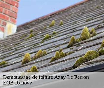 Demoussage de toiture  azay-le-ferron-36290 EGB Renove
